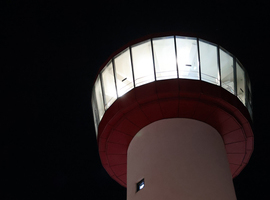 용인자작나무숲 일루미네이션