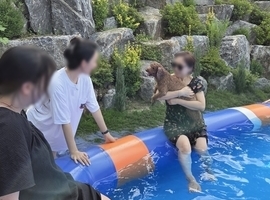용인자작나무숲펜션 애견동반전용 물놀이장 오픈