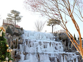 용인빙벽카페 베툴라